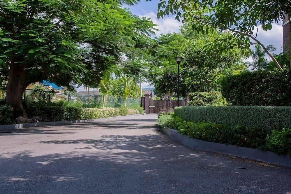 New Kingston Guest Apt At Sonoma Estate المظهر الخارجي الصورة